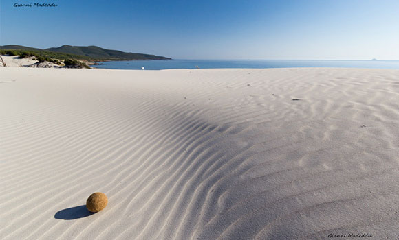 Guides conférenciers SARDAIGNE, VOYAGES CULTURELS, EXCURSIONS GUIDÉES, RANDONNÉES, ATELIER CUISINE, STAGES DE CUISINE, VISITES AVEC GUIDE PROFESSIONNEL, CIRCUITS DE SARDAIGNE, SÉJOUR LINGUISTIQUE D'ITALIEN, ITINERAIRES SUR MESURE