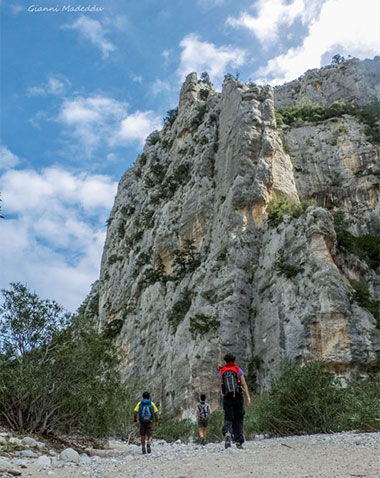 Guides conférenciers SARDAIGNE, VOYAGES CULTURELS, EXCURSIONS GUIDÉES, RANDONNÉES, ATELIER CUISINE, STAGES DE CUISINE, VISITES AVEC GUIDE PROFESSIONNEL, CIRCUITS DE SARDAIGNE, SÉJOUR LINGUISTIQUE D'ITALIEN, ITINERAIRES SUR MESURE