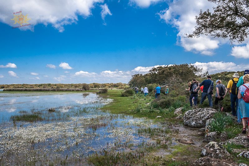 Guides conférenciers SARDAIGNE, VOYAGES CULTURELS, EXCURSIONS GUIDÉES, RANDONNÉES, ATELIER CUISINE, STAGES DE CUISINE, VISITES AVEC GUIDE PROFESSIONNEL, CIRCUITS DE SARDAIGNE, SÉJOUR LINGUISTIQUE D'ITALIEN, ITINERAIRES SUR MESURE