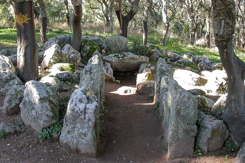 Guides conférenciers SARDAIGNE, VOYAGES CULTURELS, EXCURSIONS GUIDÉES, RANDONNÉES, ATELIER CUISINE, STAGES DE CUISINE, VISITES AVEC GUIDE PROFESSIONNEL, CIRCUITS DE SARDAIGNE, SÉJOUR LINGUISTIQUE D'ITALIEN, ITINERAIRES SUR MESURE