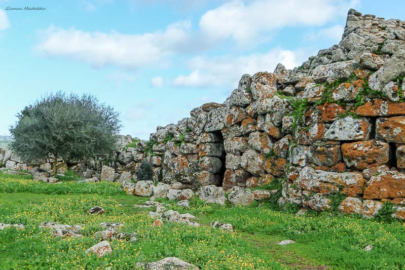 Guides conférenciers SARDAIGNE, VOYAGES CULTURELS, EXCURSIONS GUIDÉES, RANDONNÉES, ATELIER CUISINE, STAGES DE CUISINE, VISITES AVEC GUIDE PROFESSIONNEL, CIRCUITS DE SARDAIGNE, SÉJOUR LINGUISTIQUE D'ITALIEN, ITINERAIRES SUR MESURE