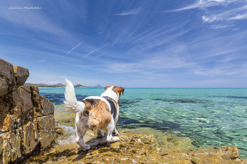 Guides conférenciers SARDAIGNE, VOYAGES CULTURELS, EXCURSIONS GUIDÉES, RANDONNÉES, ATELIER CUISINE, STAGES DE CUISINE, VISITES AVEC GUIDE PROFESSIONNEL, CIRCUITS DE SARDAIGNE, SÉJOUR LINGUISTIQUE D'ITALIEN, ITINERAIRES SUR MESURE