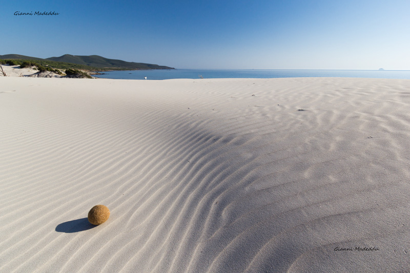 Guides conférenciers SARDAIGNE, VOYAGES CULTURELS, EXCURSIONS GUIDÉES, RANDONNÉES, ATELIER CUISINE, STAGES DE CUISINE, VISITES AVEC GUIDE PROFESSIONNEL, CIRCUITS DE SARDAIGNE, SÉJOUR LINGUISTIQUE D'ITALIEN, ITINERAIRES SUR MESURE