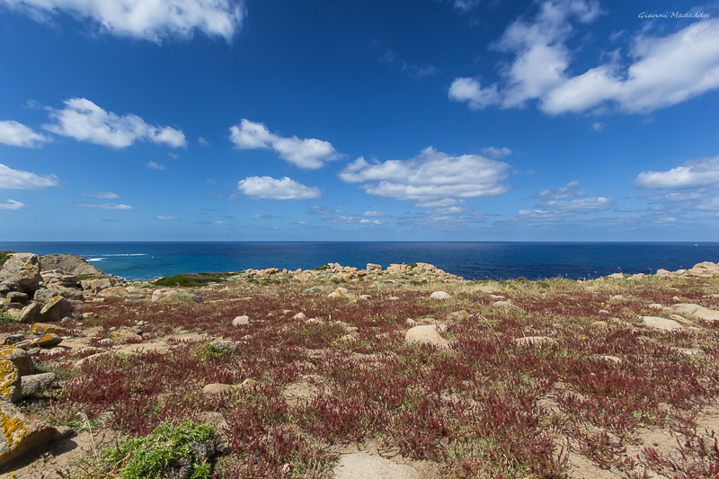 Guides conférenciers SARDAIGNE, VOYAGES CULTURELS, EXCURSIONS GUIDÉES, RANDONNÉES, ATELIER CUISINE, STAGES DE CUISINE, VISITES AVEC GUIDE PROFESSIONNEL, CIRCUITS DE SARDAIGNE, SÉJOUR LINGUISTIQUE D'ITALIEN, ITINERAIRES SUR MESURE