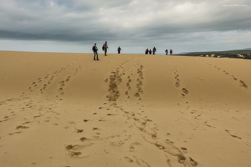 Guides conférenciers SARDAIGNE, VOYAGES CULTURELS, EXCURSIONS GUIDÉES, RANDONNÉES, ATELIER CUISINE, STAGES DE CUISINE, VISITES AVEC GUIDE PROFESSIONNEL, CIRCUITS DE SARDAIGNE, SÉJOUR LINGUISTIQUE D'ITALIEN, ITINERAIRES SUR MESURE