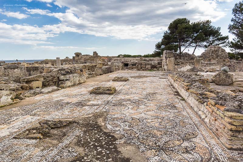 Guides conférenciers SARDAIGNE, VOYAGES CULTURELS, EXCURSIONS GUIDÉES, RANDONNÉES, ATELIER CUISINE, STAGES DE CUISINE, VISITES AVEC GUIDE PROFESSIONNEL, CIRCUITS DE SARDAIGNE, SÉJOUR LINGUISTIQUE D'ITALIEN, ITINERAIRES SUR MESURE