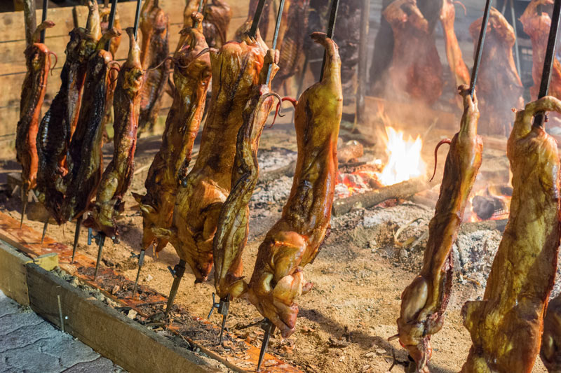 Guides conférenciers SARDAIGNE, VOYAGES CULTURELS, EXCURSIONS GUIDÉES, RANDONNÉES, ATELIER CUISINE, STAGES DE CUISINE, VISITES AVEC GUIDE PROFESSIONNEL, CIRCUITS DE SARDAIGNE, SÉJOUR LINGUISTIQUE D'ITALIEN, ITINERAIRES SUR MESURE