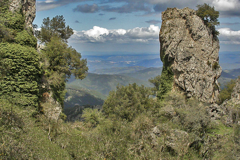 Guides conférenciers SARDAIGNE, VOYAGES CULTURELS, EXCURSIONS GUIDÉES, RANDONNÉES, ATELIER CUISINE, STAGES DE CUISINE, VISITES AVEC GUIDE PROFESSIONNEL, CIRCUITS DE SARDAIGNE, SÉJOUR LINGUISTIQUE D'ITALIEN, ITINERAIRES SUR MESURE