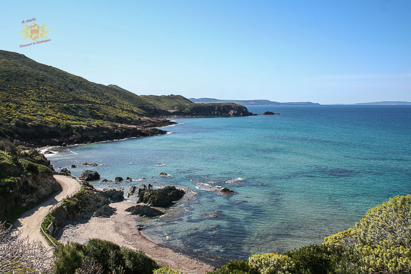 Guides conférenciers SARDAIGNE, VOYAGES CULTURELS, EXCURSIONS GUIDÉES, RANDONNÉES, ATELIER CUISINE, STAGES DE CUISINE, VISITES AVEC GUIDE PROFESSIONNEL, CIRCUITS DE SARDAIGNE, SÉJOUR LINGUISTIQUE D'ITALIEN, ITINERAIRES SUR MESURE