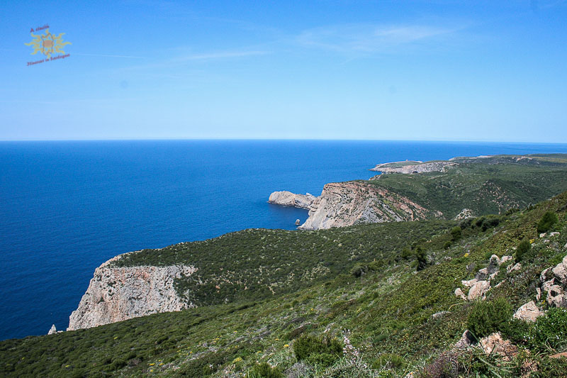 Guides conférenciers SARDAIGNE, VOYAGES CULTURELS, EXCURSIONS GUIDÉES, RANDONNÉES, ATELIER CUISINE, STAGES DE CUISINE, VISITES AVEC GUIDE PROFESSIONNEL, CIRCUITS DE SARDAIGNE, SÉJOUR LINGUISTIQUE D'ITALIEN, ITINERAIRES SUR MESURE