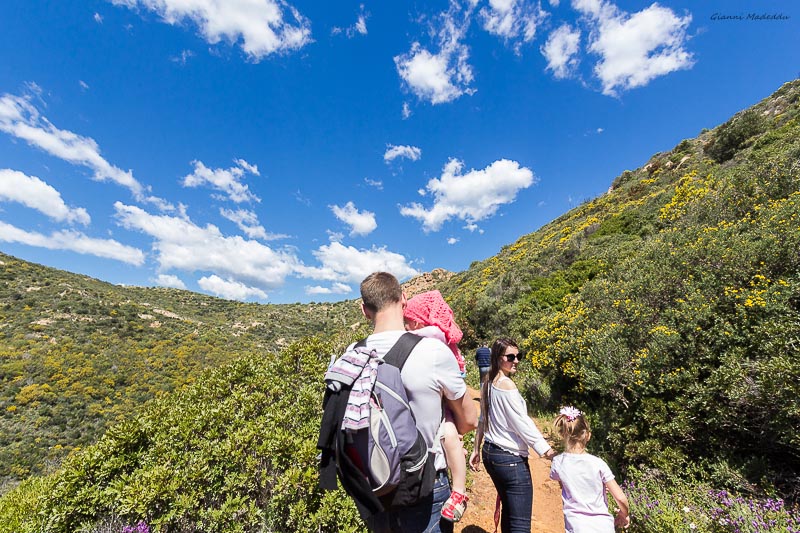 Guides conférenciers SARDAIGNE, VOYAGES CULTURELS, EXCURSIONS GUIDÉES, RANDONNÉES, ATELIER CUISINE, STAGES DE CUISINE, VISITES AVEC GUIDE PROFESSIONNEL, CIRCUITS DE SARDAIGNE, SÉJOUR LINGUISTIQUE D'ITALIEN, ITINERAIRES SUR MESURE