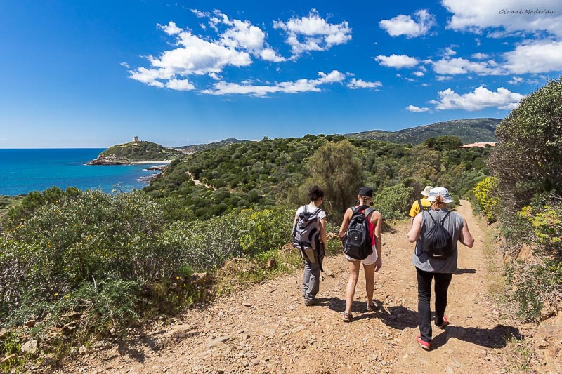 Guides conférenciers SARDAIGNE, VOYAGES CULTURELS, EXCURSIONS GUIDÉES, RANDONNÉES, ATELIER CUISINE, STAGES DE CUISINE, VISITES AVEC GUIDE PROFESSIONNEL, CIRCUITS DE SARDAIGNE, SÉJOUR LINGUISTIQUE D'ITALIEN, ITINERAIRES SUR MESURE