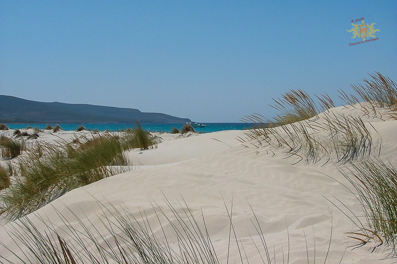 Guides conférenciers SARDAIGNE, VOYAGES CULTURELS, EXCURSIONS GUIDÉES, RANDONNÉES, ATELIER CUISINE, STAGES DE CUISINE, VISITES AVEC GUIDE PROFESSIONNEL, CIRCUITS DE SARDAIGNE, SÉJOUR LINGUISTIQUE D'ITALIEN, ITINERAIRES SUR MESURE