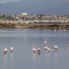 Guides conférenciers SARDAIGNE, VOYAGES CULTURELS, EXCURSIONS GUIDÉES, RANDONNÉES, ATELIER CUISINE, STAGES DE CUISINE, VISITES AVEC GUIDE PROFESSIONNEL, CIRCUITS DE SARDAIGNE, SÉJOUR LINGUISTIQUE D'ITALIEN, ITINERAIRES SUR MESURE