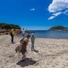 Guides conférenciers SARDAIGNE, VOYAGES CULTURELS, EXCURSIONS GUIDÉES, RANDONNÉES, ATELIER CUISINE, STAGES DE CUISINE, VISITES AVEC GUIDE PROFESSIONNEL, CIRCUITS DE SARDAIGNE, SÉJOUR LINGUISTIQUE D'ITALIEN, ITINERAIRES SUR MESURE