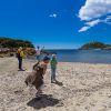 Guides conférenciers SARDAIGNE, VOYAGES CULTURELS, EXCURSIONS GUIDÉES, RANDONNÉES, ATELIER CUISINE, STAGES DE CUISINE, VISITES AVEC GUIDE PROFESSIONNEL, CIRCUITS DE SARDAIGNE, SÉJOUR LINGUISTIQUE D'ITALIEN, ITINERAIRES SUR MESURE