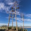 Guides conférenciers SARDAIGNE, VOYAGES CULTURELS, EXCURSIONS GUIDÉES, RANDONNÉES, ATELIER CUISINE, STAGES DE CUISINE, VISITES AVEC GUIDE PROFESSIONNEL, CIRCUITS DE SARDAIGNE, SÉJOUR LINGUISTIQUE D'ITALIEN, ITINERAIRES SUR MESURE